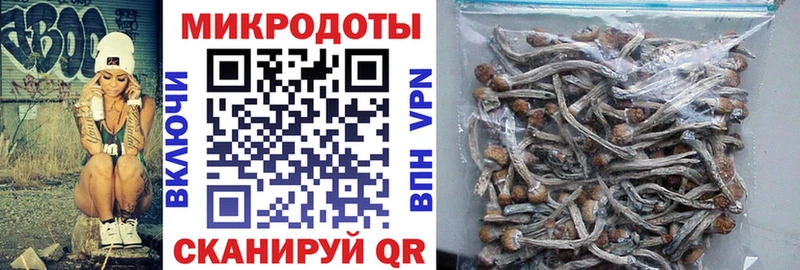 купить наркотики сайты  Назрань  Галлюциногенные грибы GOLDEN TEACHER 
